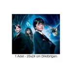 Hediyehobihersey Harry Potter Büyük Boy 20X24 Cm A4 Yenilebilir Pasta Kurabiye Şeker Hamuru Kağıt Baskısı Dikdörtgen