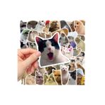 hediyenebak Çılgın Cats Sticker Seti | Laptop Ajanda Notebook Tablet Telefon Defter Etiket Bullet Journal