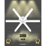 Hegza Lighting Borde (Beyaz Kasa, Sarı Işık) Ledli Modern Plafonyer LED Avize Salon Mutfak Oturma Odası Antre Hol Çocuk Odası LED