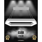 Hegza Lighting Joya (Gri Kasa, Beyaz Işık) Ledli Modern Sarkıt Linear LED Avize Salon Mutfak Oturma Odası Yatak Odası Antre Hol LED