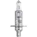 Hejalüx 13853 H1 12 V 55 W Standart Işık Düz Soket