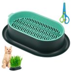 Hejo Kedi çimi için bitki kasesi, çimen tepsisi, kedi otu tohumu saksısı, bitki yetiştirme kabı, ABS malzemeden, toprak içermeyen tohum sprouter kedi otu için (yeşil)