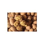 Hekimhan 250 ml Bitkisel Hindistan Cevizi Yağı