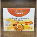 Hekimhan Complex Drops Kuşburnu Portakal Ekinezyalı 24 Pastil