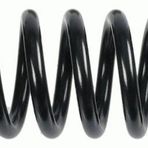 Helezon Yay Arka 318mm Mercedes W201 85 93