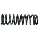 Helezon Yay Arka (takvıyelı) 190 W201 85-93 - Sachs 996 070