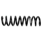 Helezon Yayı Arka Bmw F20 F30