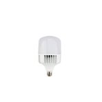 Helios 20 Watt Torch Led Ampul