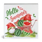 Hello Summer Karpuz Cüce Ahşap Kutu İşareti Ahşap Blok Masa Tabelası Dekoratif Masa Tabelası Ev Rafı Dekor 15 X 5 İnç