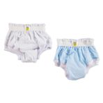 HelloBaby 2'li Alıştırma Külodu Mavi Beyaz - Renksiz