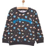 HelloBaby Basic Az Şardonlu Aslan Desenli Sweatshirt Erkek Bebek - 2 Yaş - Renkli