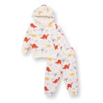 HelloBaby Erkek Bebek Eşofman Takımı Dinozor Baskılı Kapüşonlu Uzun Kol Lastikli - Ekru