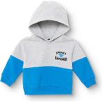 Hellobaby Erkek Bebek Kapüşonlu Sweatshirt Şardonlu Üç Iplik Uzun Kol - Gri Melanj - 9 - 12 Ay