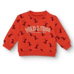 HelloBaby Erkek Bebek Sweatshirt Dinozor Baskılı Bisiklet Yaka Uzun Kol - Desenli
