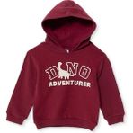 Hellobaby Hellobaby, Erkek, Kapüşonlu Sweatshirt, Dinozor Baskılı, Kapüşonlu, Uzun Kol - Bordo - 9 - 12 Ay