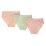 HelloBaby Kız Bebek Somon 3'lü Slip Külot