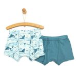 HelloBaby Petrol 2'li Külot Erkek Bebek Boxer