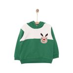 HelloBaby Snow Party Erkek Kapüşonlu Sweatshirt Erkek Bebek