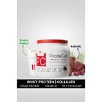 Hellobari Formula Protecoll | Whey Protein&kollajen | Kakaolu | 10 Porsiyon