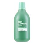 HelloMorning Saç Derisine Derinlemesine Temizlik Sağlayan HelloMorning Dökülme Karşıtı Şampuan 300 ML