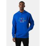 Helly Hansen Core Graphic Mavi Kapüşonlu Erkek Sweatshirt