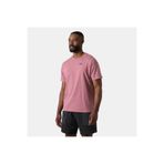 Helly Hansen Massif Graphic Erkek T-Shirt