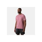 Helly Hansen Massif Graphic T-Shirt Gül Kurusu, M, HHA.54600, Gül Kurusu, Erkek