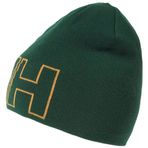 Helly Hansen Outline Yeşil Unisex Bere