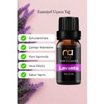Hem Tütsü Lavanta Uçucu Yağ Buhurdanlık Yağı Aromaterapi Yağ Difizör Esansı Buhur Yağ Oda Kokusu 10 Ml.