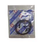 HEMA Hidrolik Tandem Pompa Tamir Takım 0017659U91 - Massey Ferguson 266 - 277 - 3050 - 8281557 - 1 Adet