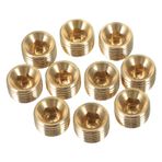 Hemobllo 10 Parça Su Borusu Tapaları Yağmurlama Kapakları 1/4 Npt Fiş Yağmurlama Boru Tapası Uç Kapaklar Yağmurlama Borusu Uç Kapağı Sprinkler Boru Tapası Altıgen Kısa Saç Pirinç