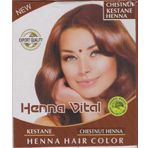Henna Tekli Kestane Hint Kınası