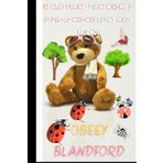henry bear needs a new home &ladybird who was alone who made friends
