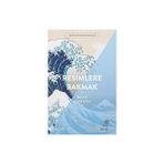 Hep Kitap Resimlere Bakmak + Hamlet + Avangard Sanat Teorisi: Avangard Tarihi ve Düşüncesi - Hayır