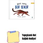 Hepi Topu Bir Tekir + Yapışkanlı Not Kağıdı - Hayır