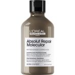 Hepta Collection Absolut Repair Molecular Tüm Yıpranmış Saçlar Için Arındırıcı Şampuan 300ML - Standart
