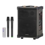 Hepu Hp-976 Kablosuz Çift El Mikrofonlu Taşınabilir Sarjlı Bluetooth 8” 40W Hoparlör