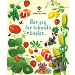 Her Şey Bir Tohumla Başlar