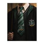 HER ŞEY NOTA www.herseynota.com Harry Potter Slytherin Yeşil Kravat | Teemood Atlantis
