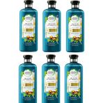 Herbal Essences Fas Argan Yağlı 6x400 ml Şampuan
