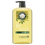 Herbal Essences Shine Brillance Chamomile Şampuan 865ML
