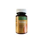Herbal Live Hidrolize Kolajen Tip 1 2 3 Vitamin C Koenzim Q10 Yaban Mersini Ekstresi - --