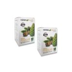 Herbal Palace 250 ml Servi Kozalağı Özü Şurubu