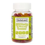 Herbaland Kids Multivitamins Minerals Gummies 60 Çiğnenebilir Tablet