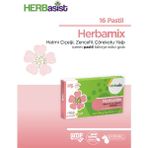Herbasist Herbamix 16 Pastil Çörekotu Yağı, Hatmi Çiçeği ve Zencefil İçeren Takviye Edici Gıda