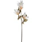 Herdekora Yapay Çiçekli Bitki Pampas Krem 90 Cm.