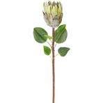 Herdekora Yapay Protea Bitkisi Yeşil 67 Cm.