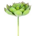 Herdekora Yeşil 14 cm Yapay Kaktüs Sukulent