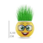 Hereveoyuncak Çim Adam Saksı Emoji Figürlü 1 Adeet
