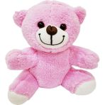 Hereveoyuncak Pembe Peluş Ayıcık, Kar Küresi ve Pembe Çikolata Not Defteri Hediye Setii